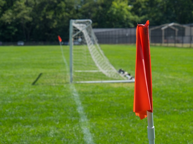 国际排联通报！4场全部0-25 越南女排违规用人 中国女排赛程有变