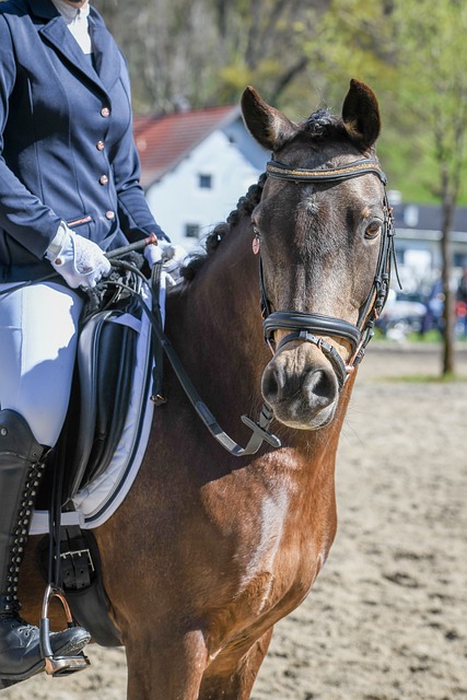 的状态来看 的状态来看