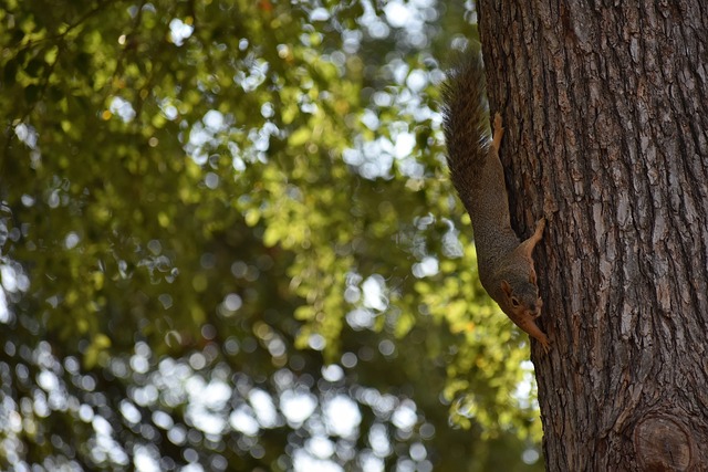 也讓他們看 也讓他們看