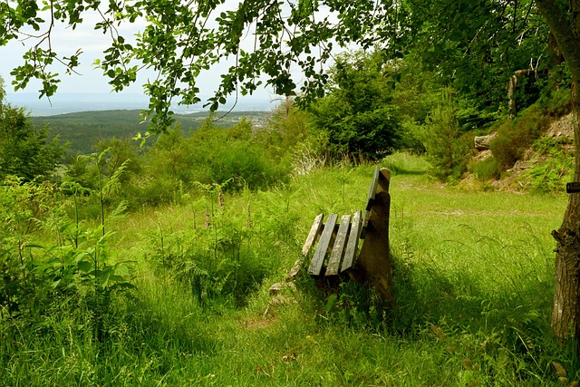 他们不仅打 他们不仅打