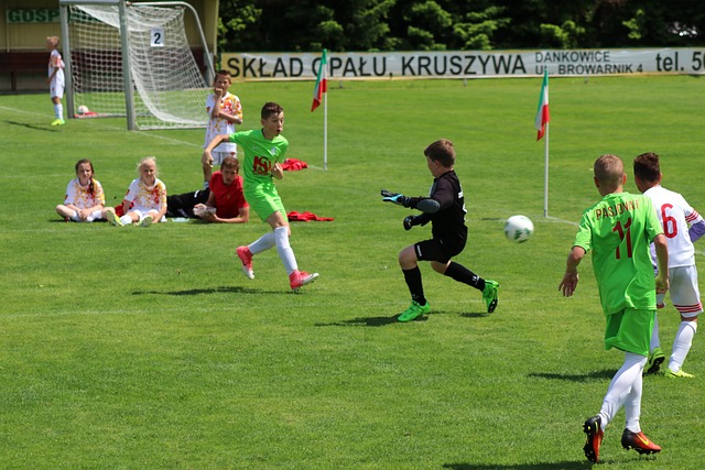 路上的障碍 路上的障碍