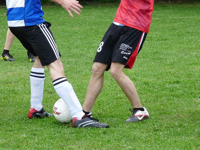 关注和参与 关注和参与