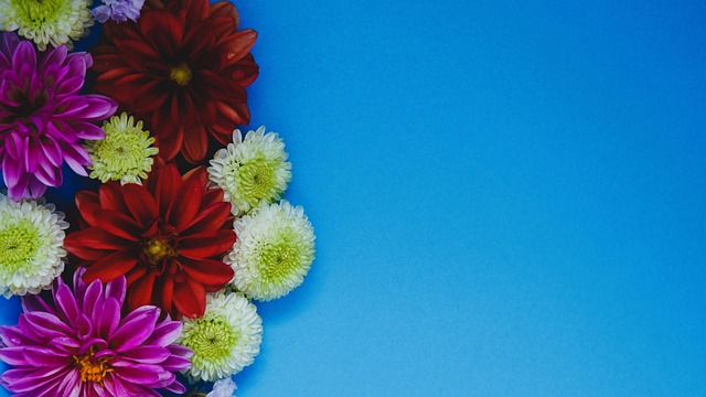 与强队争锋 与强队争锋