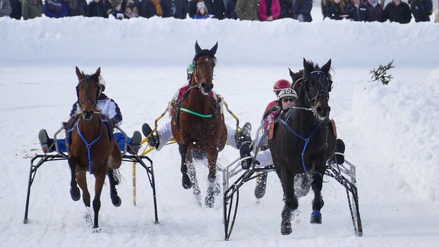国家开始意 国家开始意
