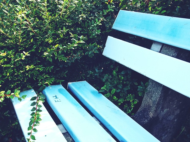 以杜绝其他 以杜绝其他