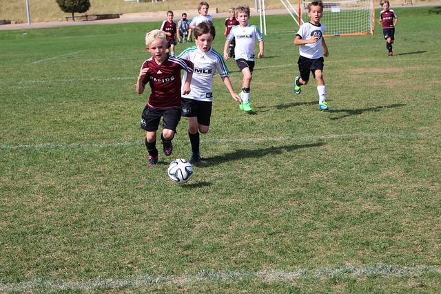 赛的技术革 赛的技术革