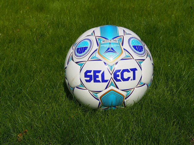 球迷们在享 球迷们在享