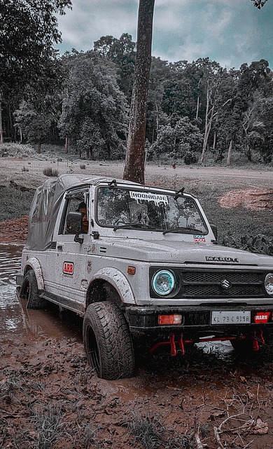 场上的成年 场上的成年